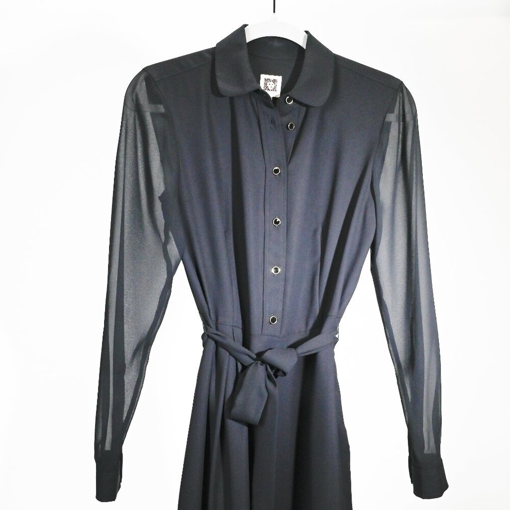 Anne Klein Lined Dress with Sheer Sleeves